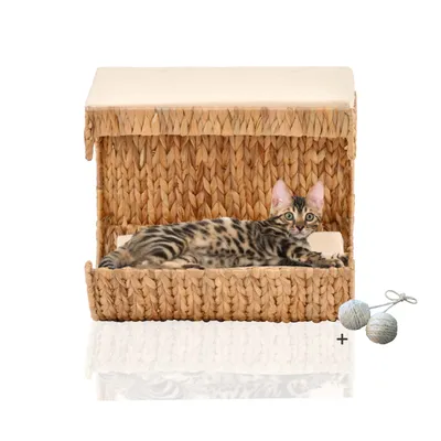 Rohrschneider Élément mural
Jacinthe d'eau Rohrschneider Élément mural
Jacinthe d'eau