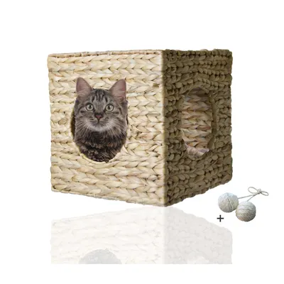 Rohrschneider Grotte murale en jacinthe d'eau Rohrschneider Grotte murale en jacinthe d'eau