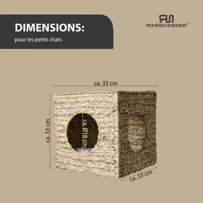 Rohrschneider Grotte murale en jacinthe d'eau