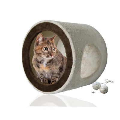 Rohrschneider Grotte murale