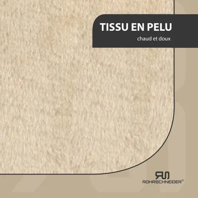 Rohrschneider Grotte murale