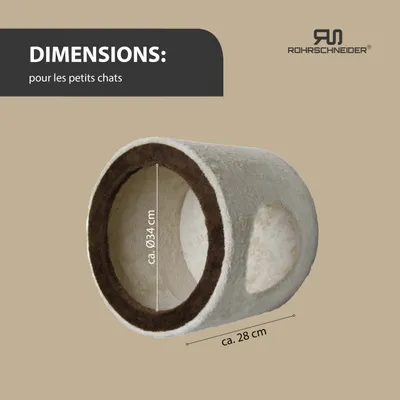 Rohrschneider Grotte murale