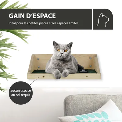 Rohrschneider Marche d'escalade naturelle avec insert