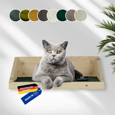 Rohrschneider Marche d'escalade naturelle avec insert