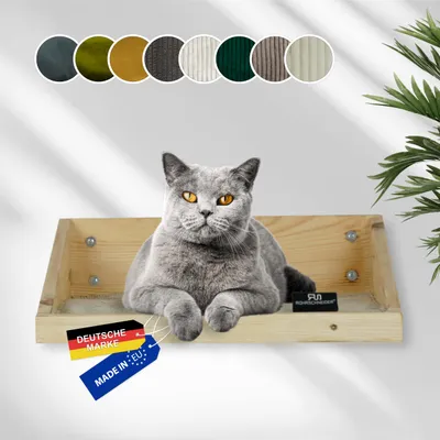 Rohrschneider Marche d'escalade naturelle avec insert