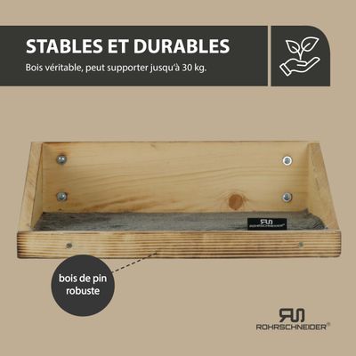 Rohrschneider Marche d'escalade flammée avec insert