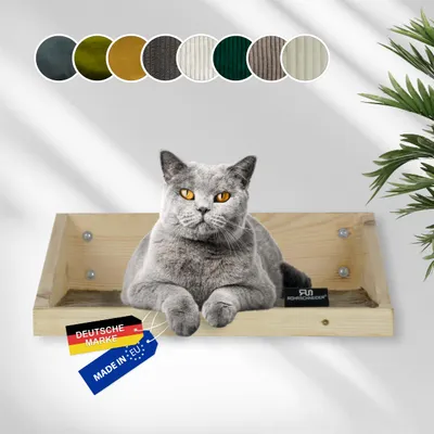 Rohrschneider Marche d'escalade naturelle avec insert