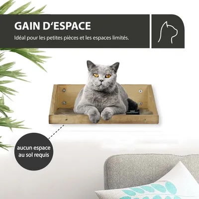 Rohrschneider Marche d'escalade flammée avec insert