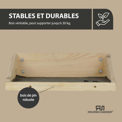 Rohrschneider Marche d'escalade naturelle avec insert