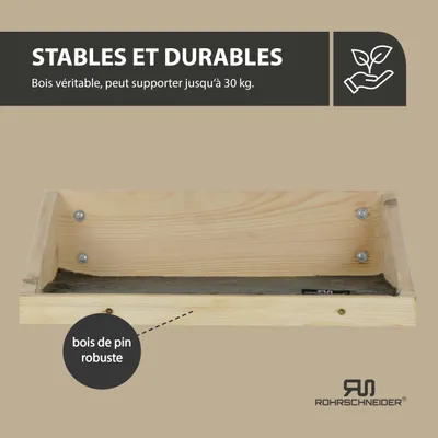 Rohrschneider Marche d'escalade naturelle avec insert