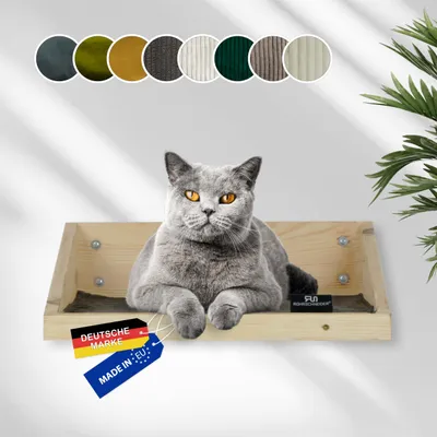 Rohrschneider Marche d'escalade naturelle avec insert