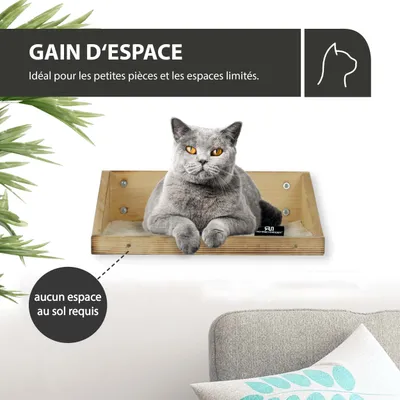 Rohrschneider Marche d'escalade flammée avec insert