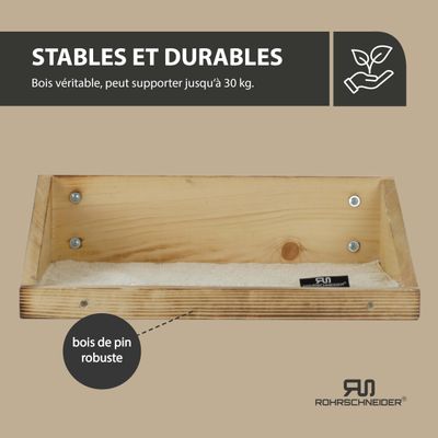 Rohrschneider Marche d'escalade flammée avec insert