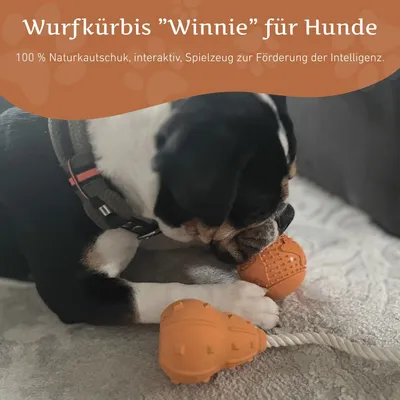 Wildfang Wurfkürbis "Winnie" Wildfang Wurfkürbis "Winnie"