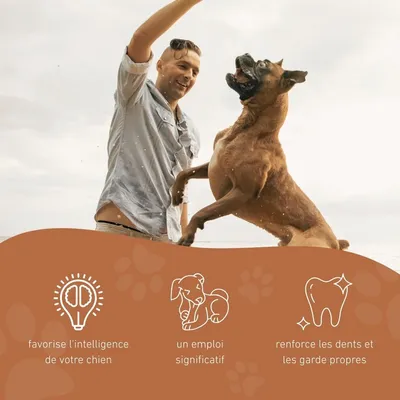 Wildfang® Jouet à mâcher citrouille 100 % caoutchouc naturel