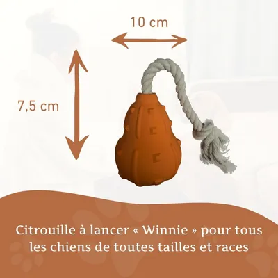 Wildfang® Jouet à mâcher citrouille 100 % caoutchouc naturel