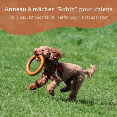 Wildfang® Jouet à mâcher anneau à mâcher "Robin" - 100% caoutchouc naturel
