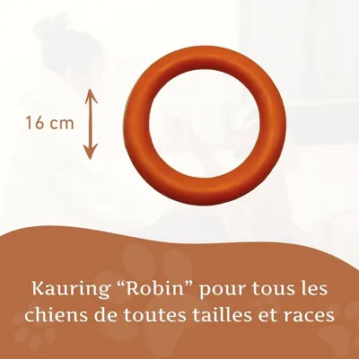 Wildfang® Jouet à mâcher anneau à mâcher "Robin" - 100% caoutchouc naturel