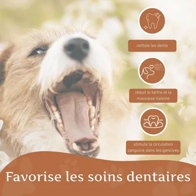 Wildfang® Jouet à mâcher anneau à mâcher "Robin" - 100% caoutchouc naturel