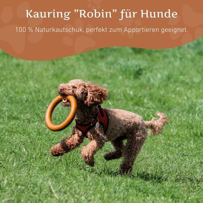 Wildfang Kauring "Robin"