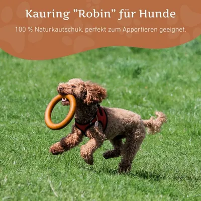 Wildfang Kauring "Robin"