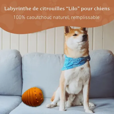 Wildfang® Labyrinthe de citrouilles – 100 % caoutchouc naturel