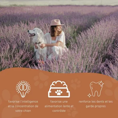 Wildfang® Labyrinthe de citrouilles – 100 % caoutchouc naturel