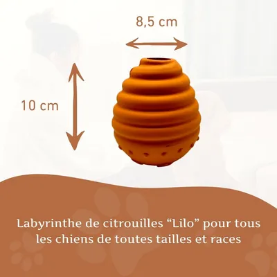 Wildfang® Labyrinthe de citrouilles – 100 % caoutchouc naturel
