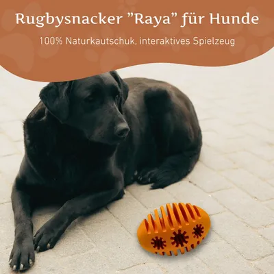 Wildfang Rugbysnacker "Raya"