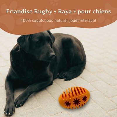 Wildfang® Jouet à mâcher rugby snacker "Raya" - 100% caoutchouc naturel