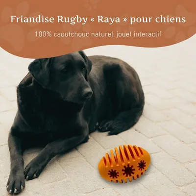 Wildfang® Jouet à mâcher rugby snacker "Raya" - 100% caoutchouc naturel