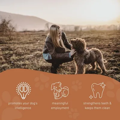 Wildfang® Jouet à mâcher os grinçant "Kristoff" - 100% caoutchouc naturel