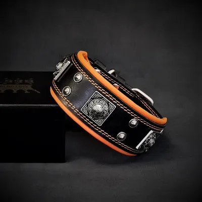 Bestia Custom Dog Gear - Le collier Eros Noir & Orange de 2 pouces de large Bestia Custom Dog Gear - Le collier Eros Noir & Orange de 2 pouces de large