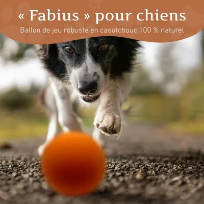 Wildfang® Balle rebondissante « Fabius » – 100% caoutchouc naturel