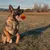 Wildfang® Balle rebondissante « Fabius » – 100% caoutchouc naturel Wildfang® Balle rebondissante « Fabius » – 100% caoutchouc naturel