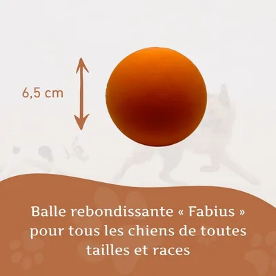 Wildfang® Balle rebondissante « Fabius » – 100% caoutchouc naturel