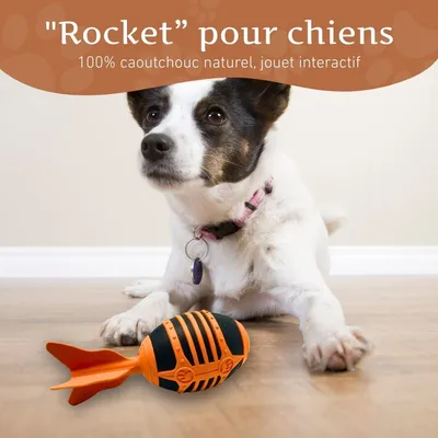 Wildfang® Jouet à mâcher fusée volante "Rocket" - 100% caoutchouc naturel