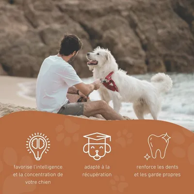 Wildfang® Jouet à mâcher fusée volante "Rocket" - 100% caoutchouc naturel