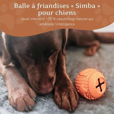 Wildfang® Balle à mâcher "Simba" - 100% caoutchouc naturel