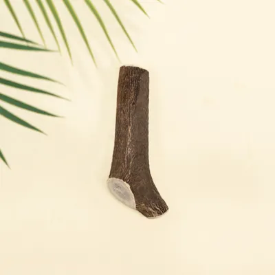 Dog Chef Bois de Cerf Tranché - Brosse à Dents 100% Naturelle pour Chien