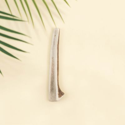 Dog Chef Bois de Cerf Tranché - Brosse à Dents 100% Naturelle pour Chien Bois de Cerf - Small