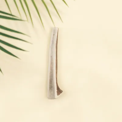 Dog Chef Bois de Cerf Tranché - Brosse à Dents 100% Naturelle pour Chien Dog Chef Bois de Cerf Tranché - Brosse à Dents 100% Naturelle pour Chien