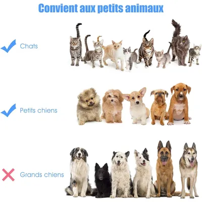 Giantex Lit pour Chien avec Auvent Amovible,Couchette en Textilène Giantex Lit pour Chien avec Auvent Amovible,Couchette en Textilène