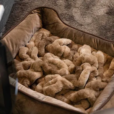 Henri - Lit orthopédique pour chiens