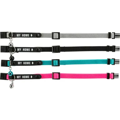 un Collier chat avec bande "mon adresse"  couleur aléatoire