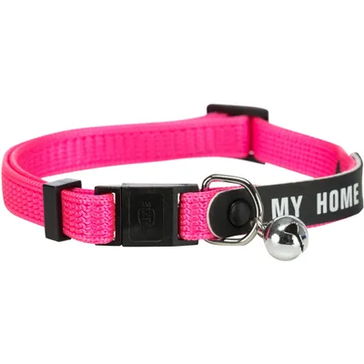 un Collier chat avec bande "mon adresse"  couleur aléatoire