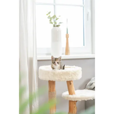 Arbre à chat Santo hauteur 73 cm pour chat