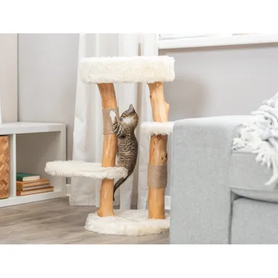 Arbre à chat Santo hauteur 73 cm pour chat