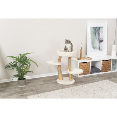 Arbre à chat Santo hauteur 73 cm pour chat