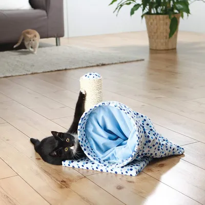 Arbre à chat Callisto, 30 x 30 cm, hauteur 32 cm, pour chaton.